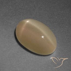 Pierre de lune étoilée Orange moyen naturelle ovale, 4.67 ct, Translucide