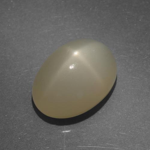 Pierre de lune étoilée marron naturelle coupe ovale, 7,22 ct, translucide