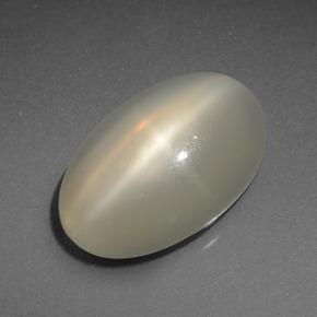 Pierre de lune étoilée crème naturelle coupe ovale, 7,36 ct, translucide