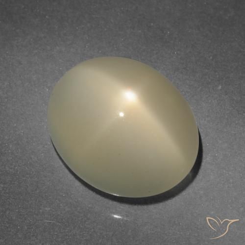 Pierre de lune étoilée Brun moyen-léger naturelle ovale, 7.89 ct, Translucide