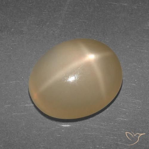 5.27ct Naturel Orange moyen-foncé Pierre de lune étoilée, ovale, Translucide