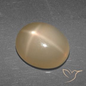 Pierre de lune étoilée Orange moyen-foncé naturelle ovale, 5.27 ct, Translucide