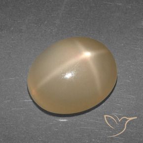 Pierre de lune étoilée Orange moyen-foncé naturelle ovale, 5.27 ct, Translucide