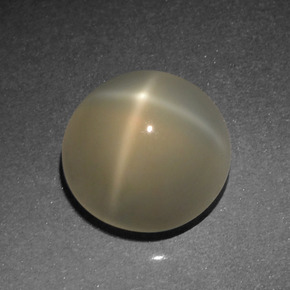 Pierre de lune étoilée Crème naturelle Coupe roude, 4.77 ct, Translucide