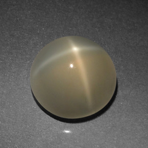 Pierre de lune étoilée Crème naturelle Coupe roude, 4.77 ct, Translucide