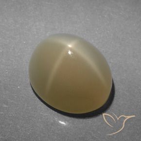 Pierre de lune étoilée Marron très clair naturelle ovale, 5.23 ct, Translucide