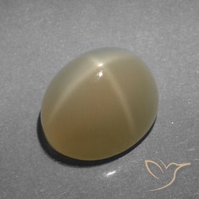 Pierre de lune étoilée Marron très clair naturelle ovale, 5.23 ct, Translucide