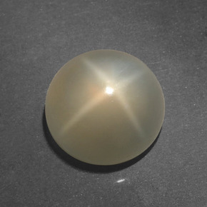 Pierre de lune étoilée Crème naturelle Coupe roude, 4.58 ct, Translucide