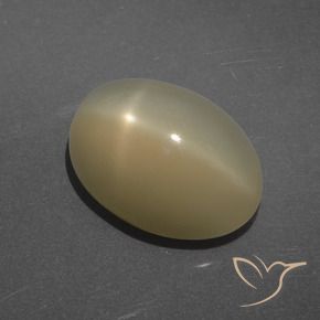 Pierre de lune étoilée Marron clair naturelle ovale, 7.14 ct, Translucide