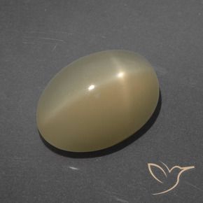 Pierre de lune étoilée Marron clair naturelle ovale, 7.14 ct, Translucide