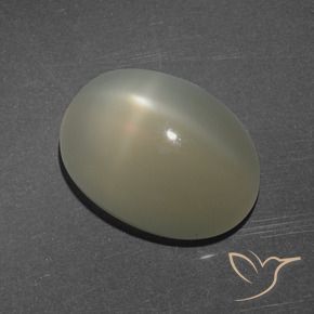 Pierre de lune étoilée Brun moyen-léger naturelle ovale, 7.16 ct, Translucide