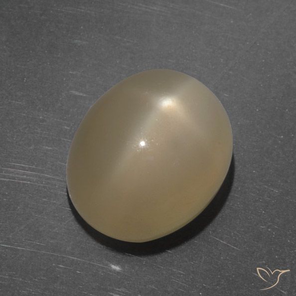 7.35ct Naturel Orange moyen-foncé Pierre de lune étoilée, ovale, Translucide