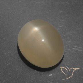 Pierre de lune étoilée Orange moyen-foncé naturelle ovale, 7.35 ct, Translucide