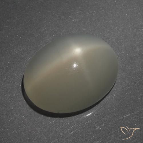 7.62ct Naturel Brun café léger Pierre de lune étoilée, ovale, Translucide, Photo A