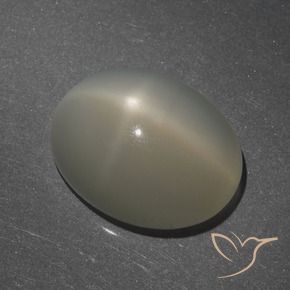 Pierre de lune étoilée Brun café léger naturelle ovale, 7.62 ct, Translucide