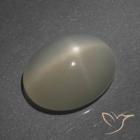 Pierre de lune étoilée Brun café léger naturelle ovale, 7.62 ct, Translucide