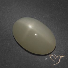 Pierre de lune étoilée Brun café léger naturelle ovale, 7.66 ct, Translucide