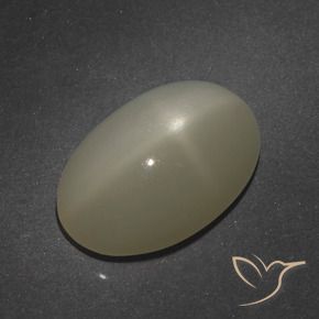 Pierre de lune étoilée Brun café léger naturelle ovale, 7.66 ct, Translucide