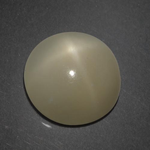 Pierre de lune étoilée marron naturelle coupe roude, 7,18 ct, translucide