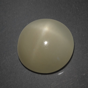 Pierre de lune étoilée marron naturelle coupe roude, 7,18 ct, translucide