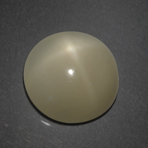 Pierre de lune étoilée marron naturelle coupe roude, 7,18 ct, translucide