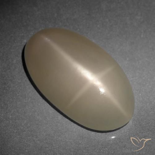 9.34ct Naturel Orange moyen-foncé Pierre de lune étoilée, ovale, Translucide