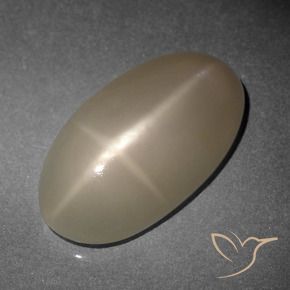 Pierre de lune étoilée Orange moyen-foncé naturelle ovale, 9.34 ct, Translucide