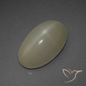 Pierre de lune étoilée Brun pâle naturelle ovale, 6.48 ct, Translucide