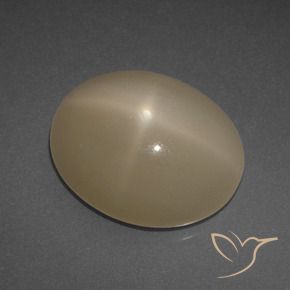Pierre de lune étoilée Orange moyen-foncé naturelle ovale, 6.95 ct, Translucide
