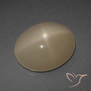 Pierre de lune étoilée Orange moyen-foncé naturelle ovale, 6.95 ct, Translucide