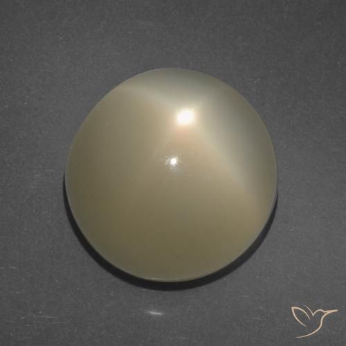 11.34ct Naturel Brun café léger Pierre de lune étoilée, Tour, Translucide