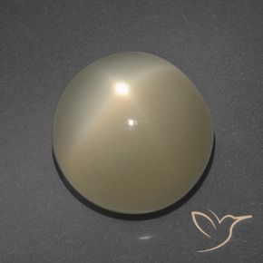 Pierre de lune étoilée Brun café léger naturelle Tour, 11.34 ct, Translucide