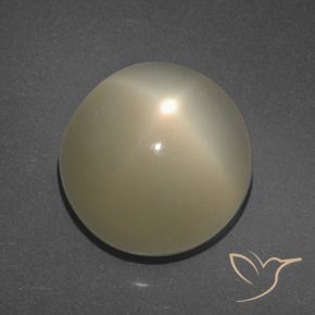 Pierre de lune étoilée Brun café léger naturelle Tour, 11.34 ct, Translucide