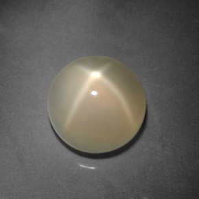 Pierre de lune étoilée Crème naturelle Coupe roude, 3.90 ct, Translucide