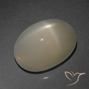 Pierre de lune étoilée Brun café léger naturelle ovale, 8.95 ct, Translucide