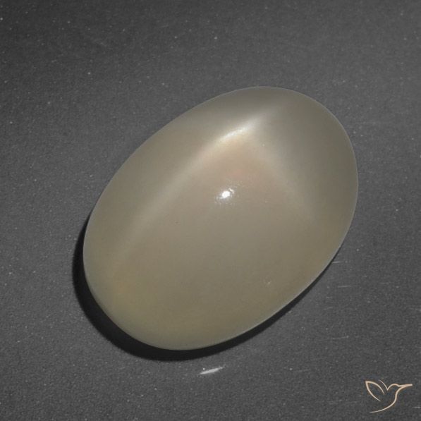 7.90ct Naturel Brun café léger Pierre de lune étoilée, ovale, Translucide