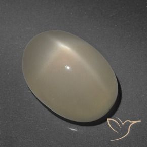 Pierre de lune étoilée Brun café léger naturelle ovale, 7.90 ct, Translucide