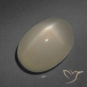 Pierre de lune étoilée Brun café léger naturelle ovale, 7.90 ct, Translucide