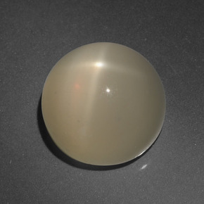 Pierre de lune étoilée Crème naturelle Coupe roude, 8.63 ct, Translucide