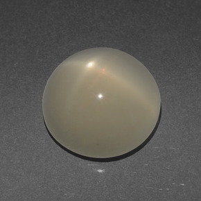 Pierre de lune étoilée crème naturelle coupe roude, 3,56 ct, translucide
