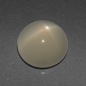 Pierre de lune étoilée crème naturelle coupe roude, 3,56 ct, translucide