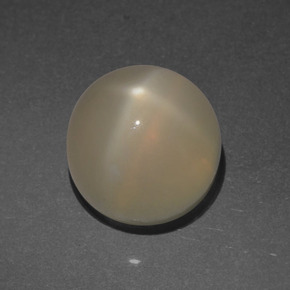 Pierre de lune étoilée Crème naturelle Coupe roude, 4.53 ct, Translucide