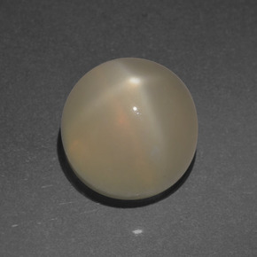 Pierre de lune étoilée Crème naturelle Coupe roude, 4.53 ct, Translucide