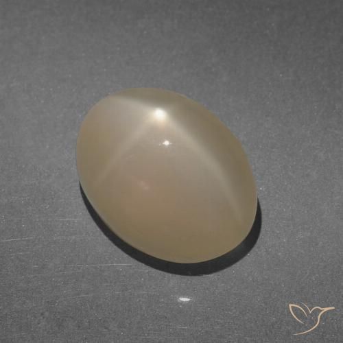 8.47ct Naturel Marron clair chaud Pierre de lune étoilée, ovale, Translucide