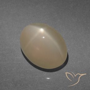 Pierre de lune étoilée Marron clair chaud naturelle ovale, 8.47 ct, Translucide