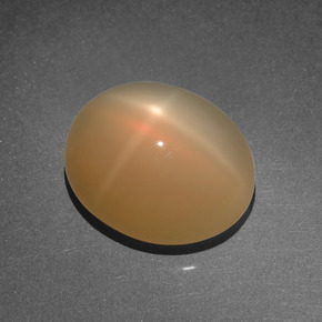 Pierre de lune étoilée orange naturelle coupe ovale, 8,03 ct, translucide