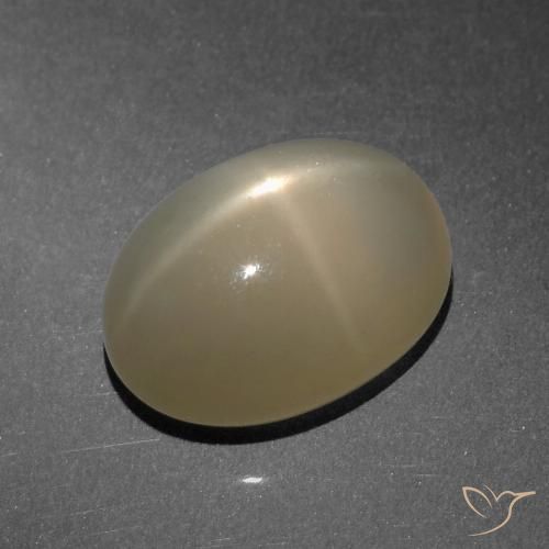 8.25ct Naturel Marron clair Pierre de lune étoilée, ovale, Translucide