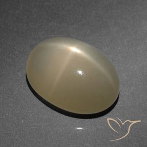 Pierre de lune étoilée Marron clair naturelle ovale, 8.25 ct, Translucide