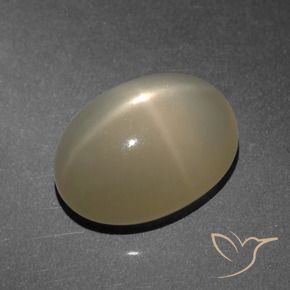 Pierre de lune étoilée Marron clair naturelle ovale, 8.25 ct, Translucide