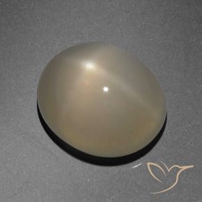 Pierre de lune étoilée Marron clair naturelle ovale, 6.13 ct, Translucide